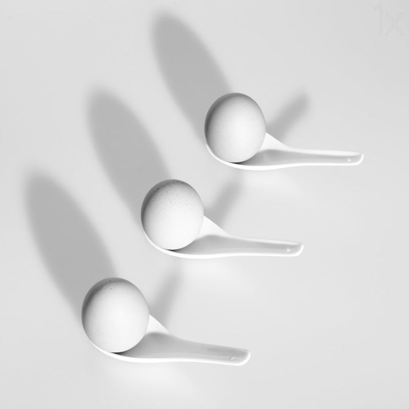 White Eggs Long Shadows