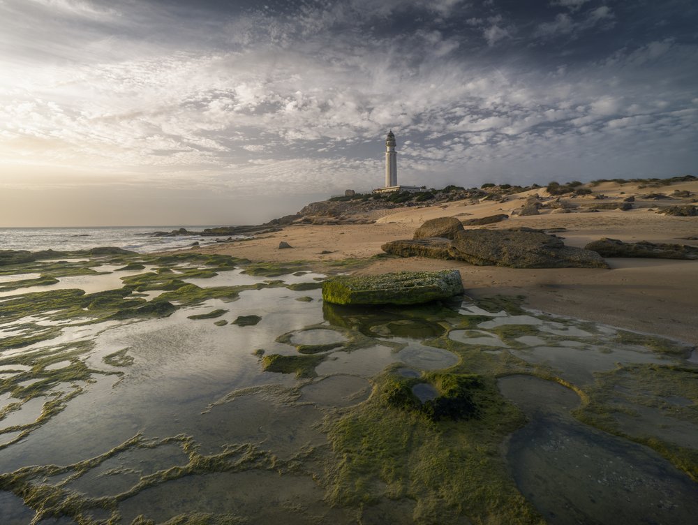 Lighthouse Coast Reflections