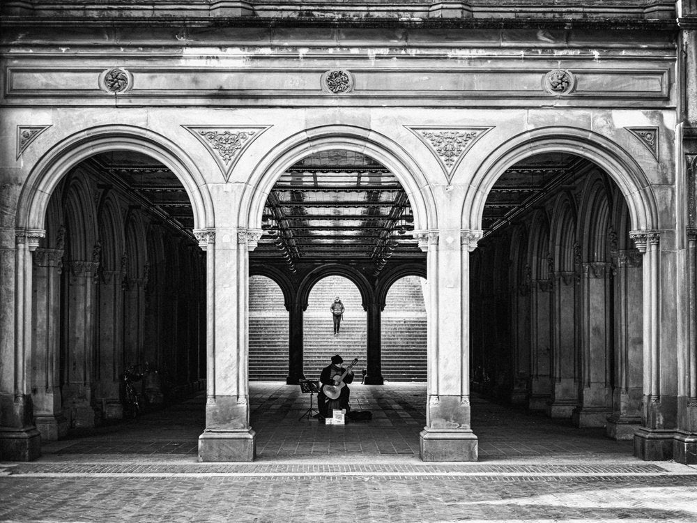 Bethesda Terrace Musician