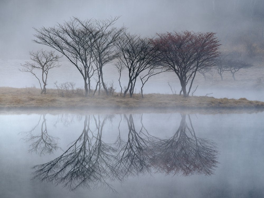 Misty Lake Reflections