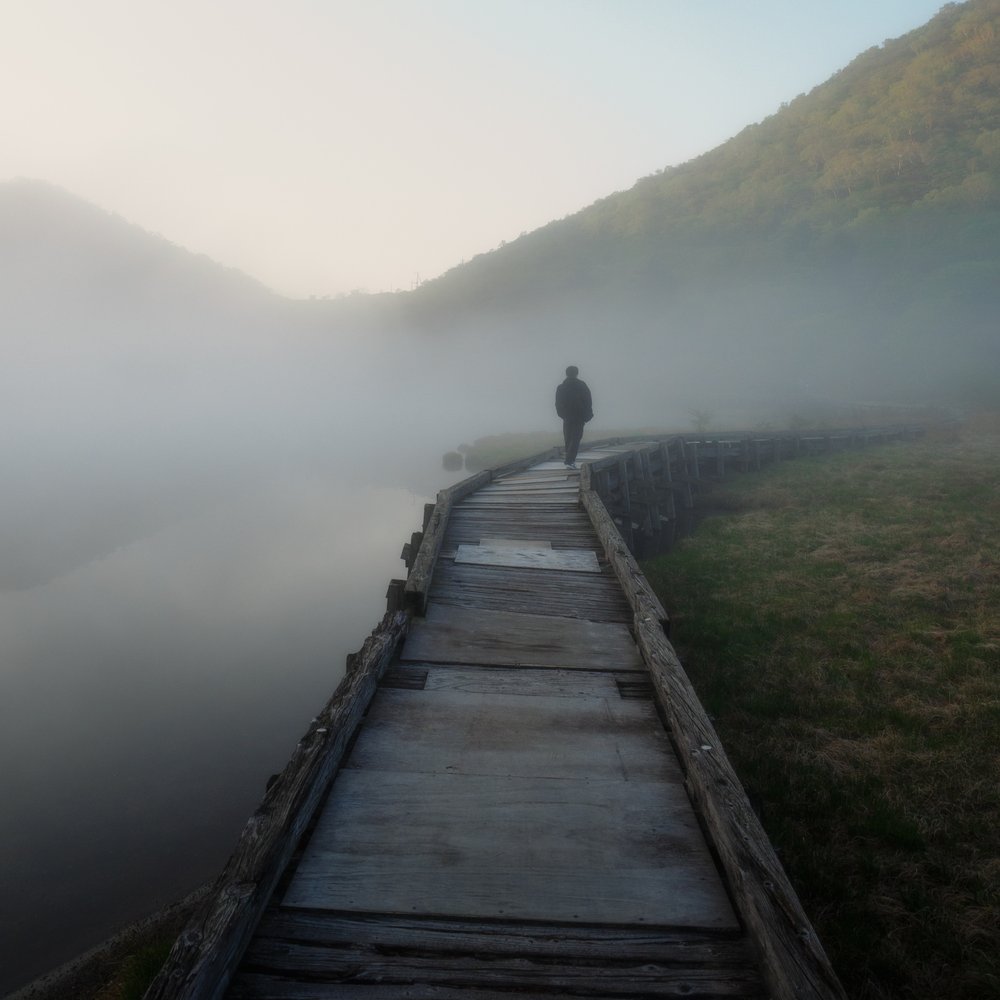 Misty Path Walk