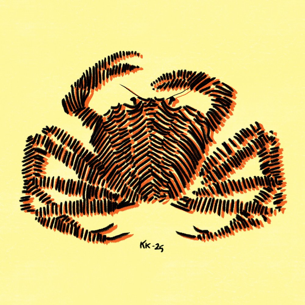 Bold Striped Crab