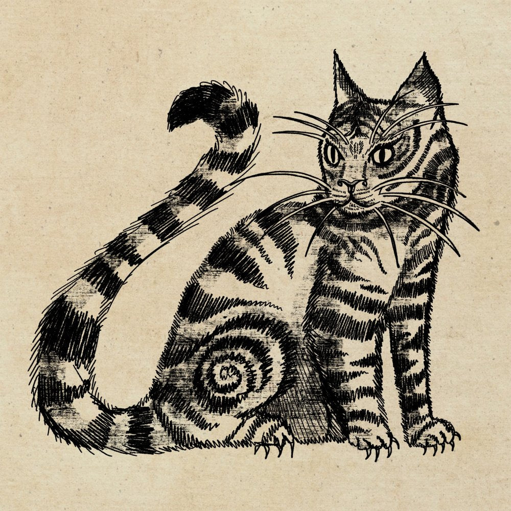 Vintage Tabby Cat Drawing