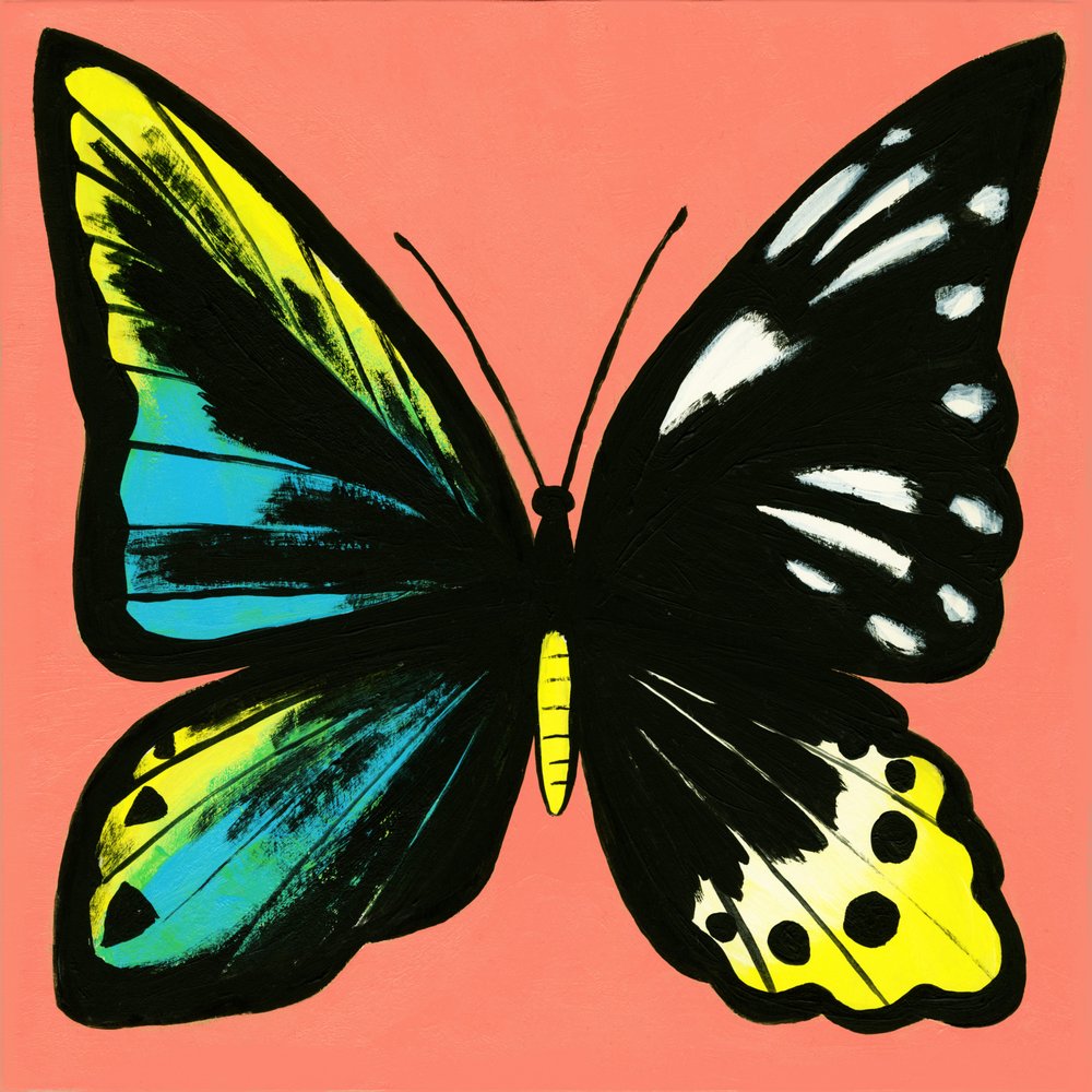 Vibrant Butterfly Wings