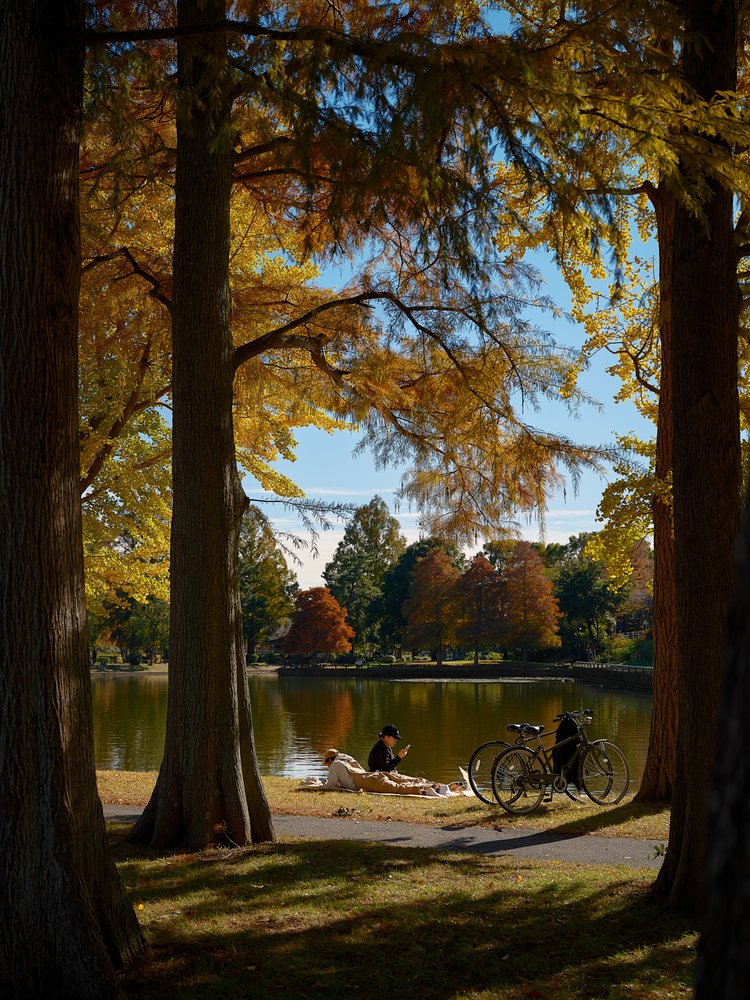 Autumn Lake Relaxation