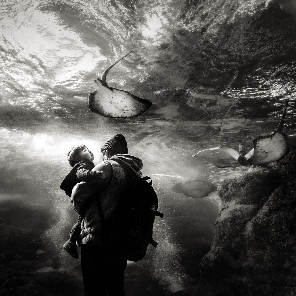 Aquarium Family Wonder