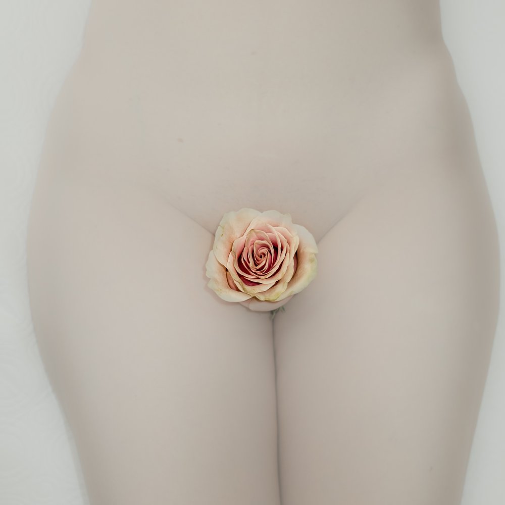 Delicate Rose Body