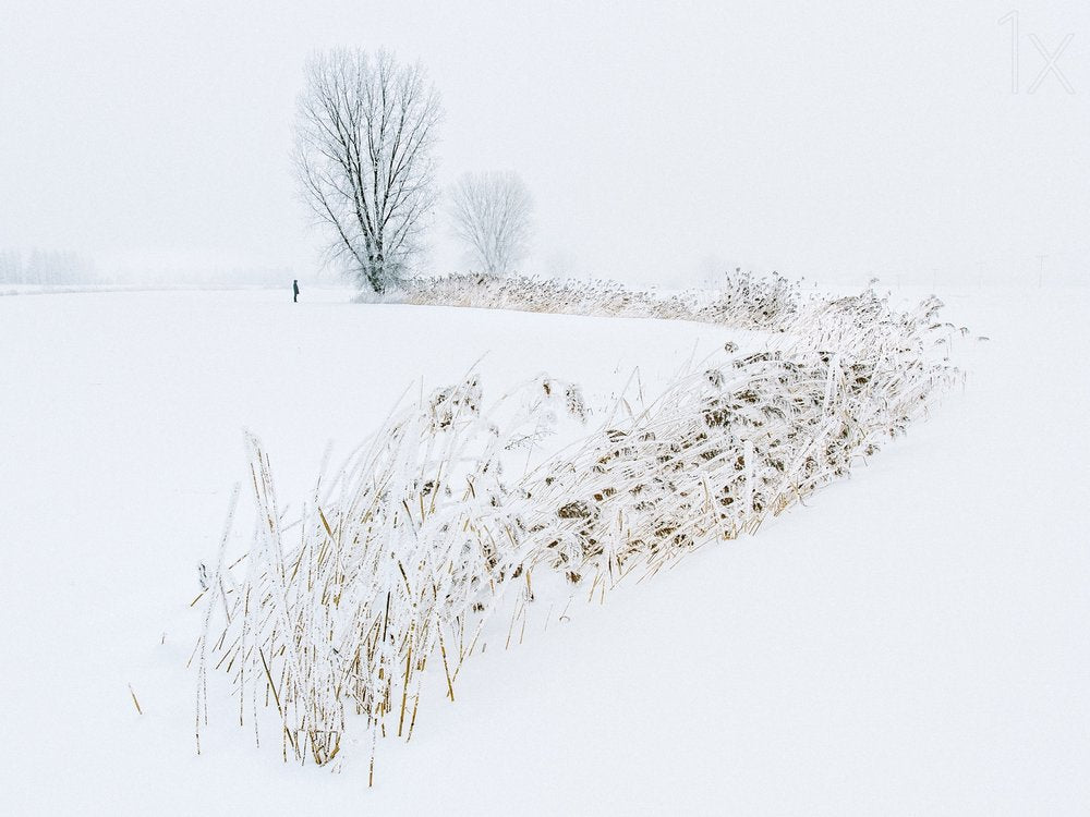 Serene Winter Landscape