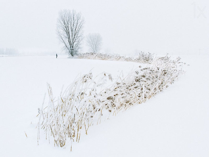 Serene Winter Landscape