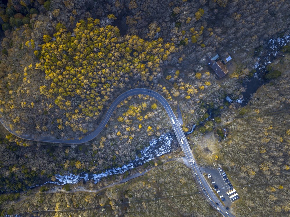 Winding Autumn Forest Road