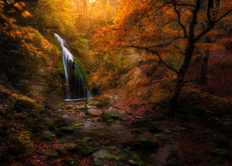 Vibrant Autumn Waterfall
