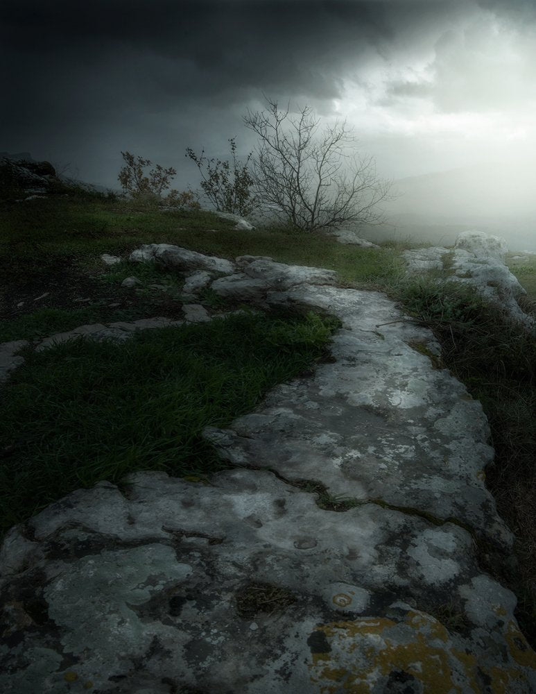 Winding Misty Path