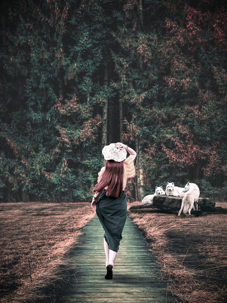 Woman and White Wolves
