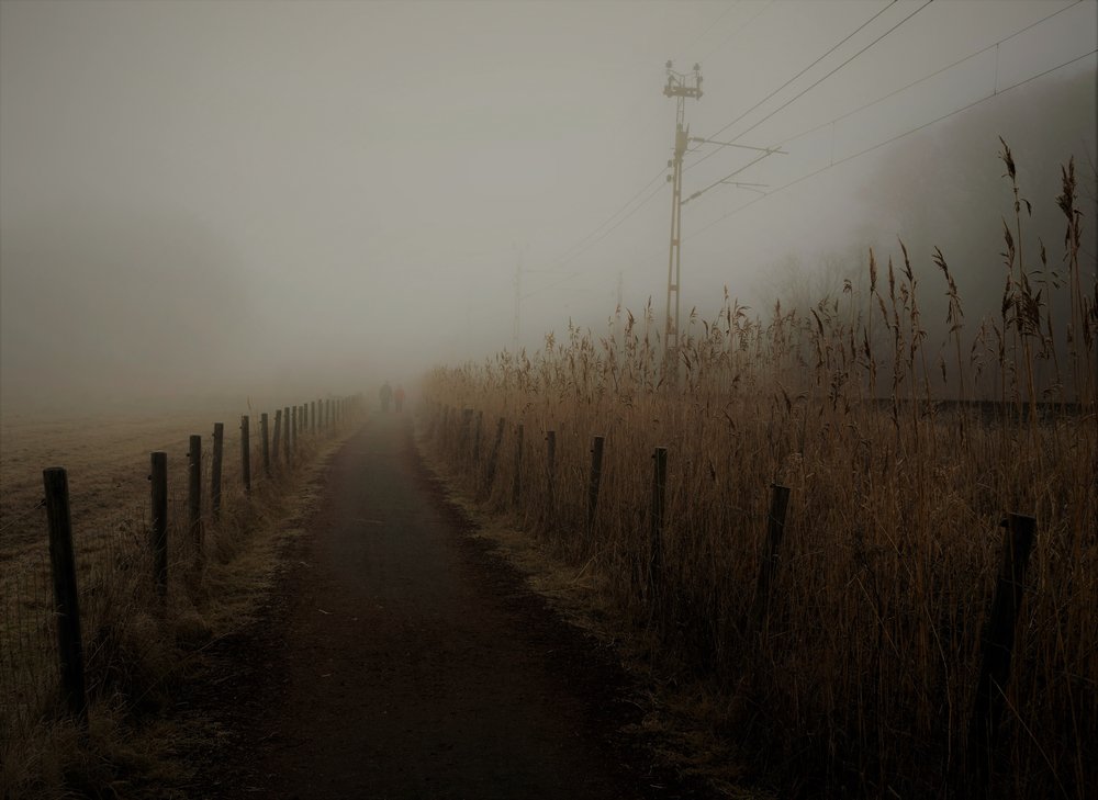 Misty Country Path