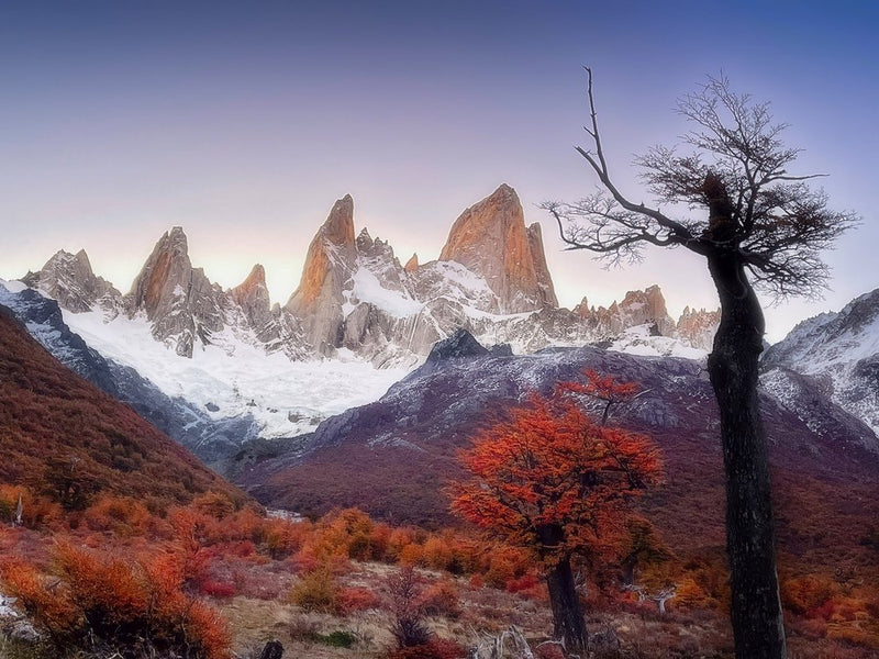 Fitz Roy Autumn Glow