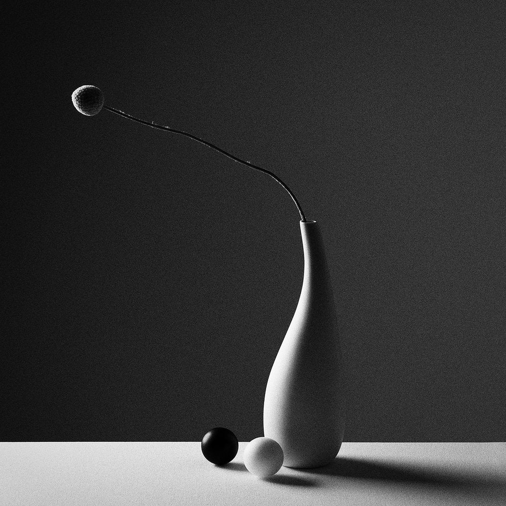 Monochrome Minimalist Still Life