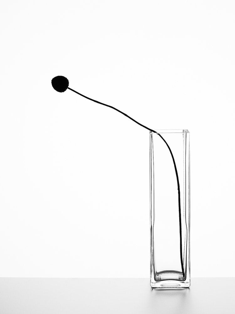 Minimalist Black Bloom