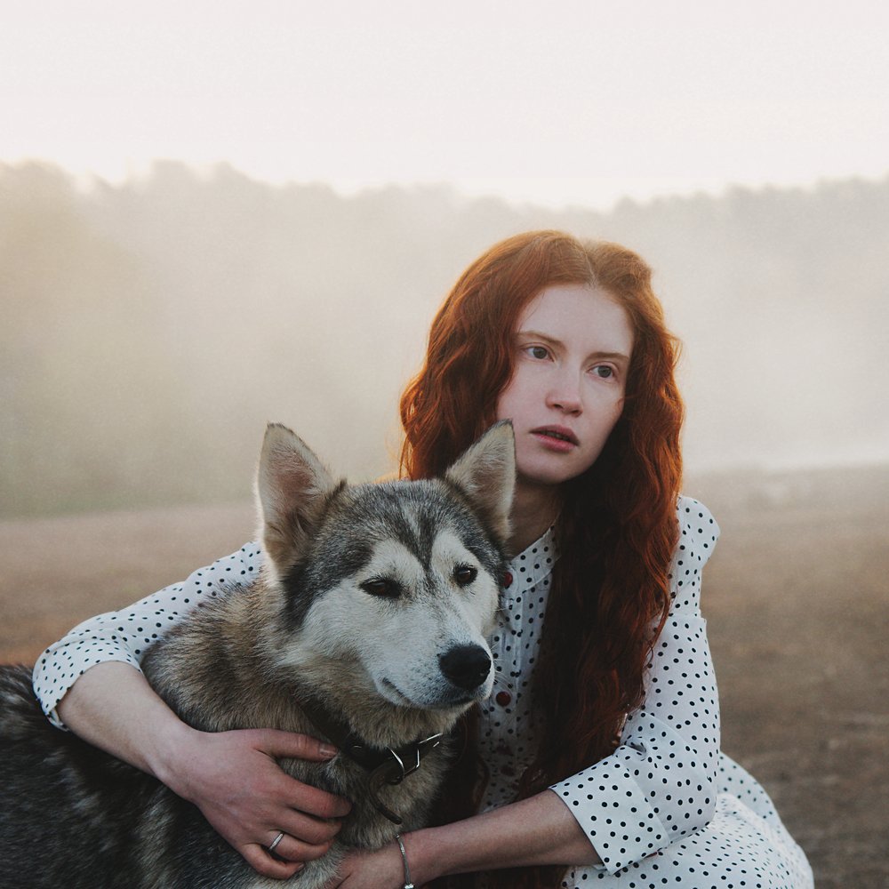Misty Husky Embrace