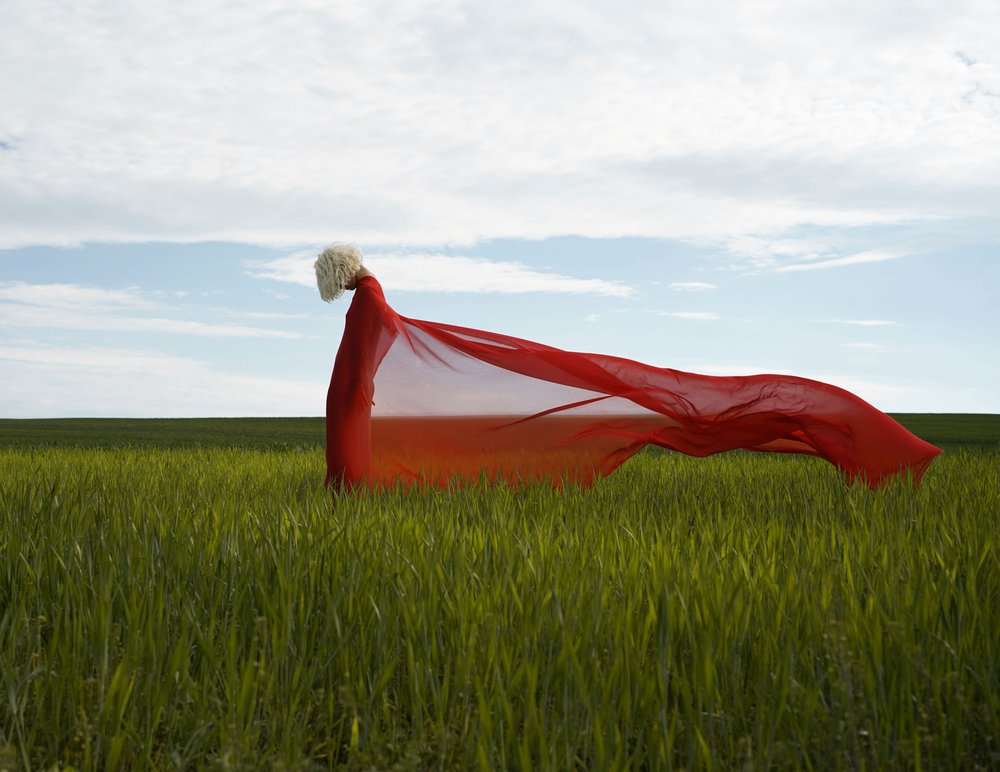 Flowing Red In Green Field