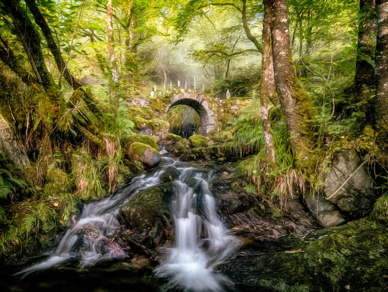 Enchanted Forest Stream Bridge
