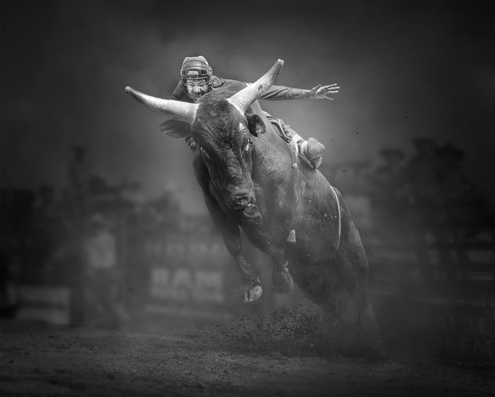 Rodeo Bull Ride