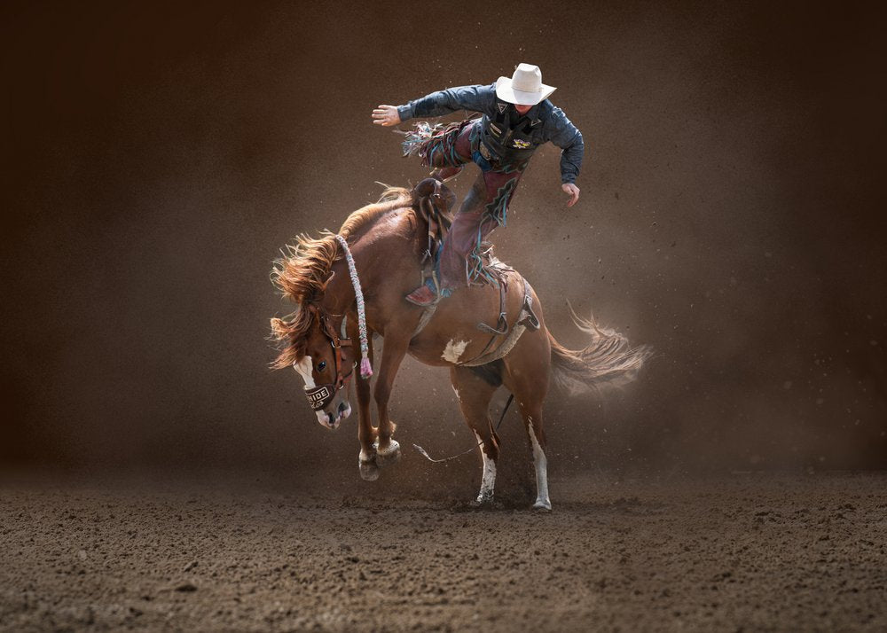 Bucking Rodeo Cowboy
