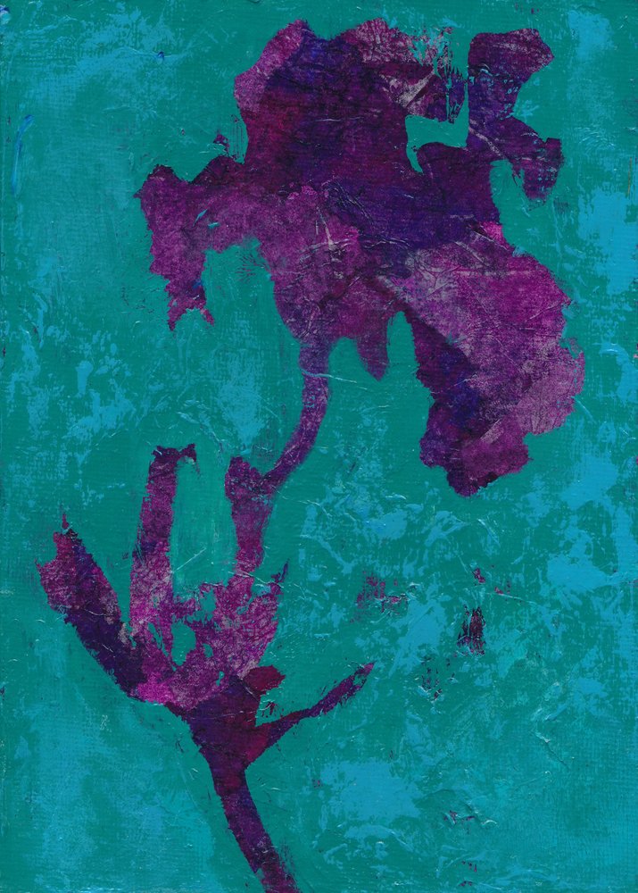 Abstract Purple Iris