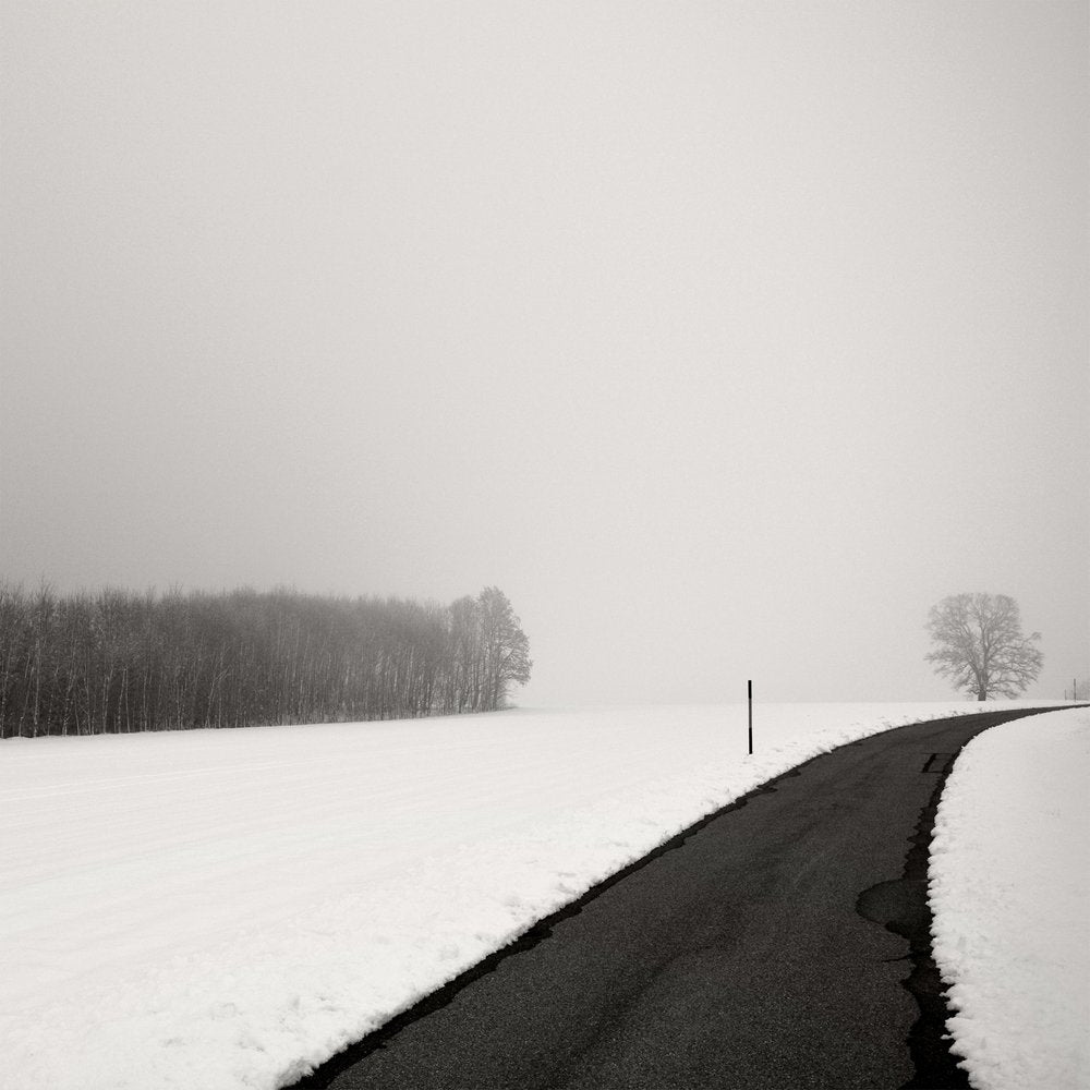 Misty Winter Road