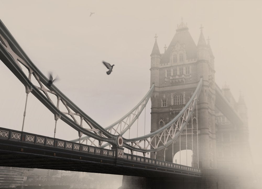 Misty Tower Bridge Birds