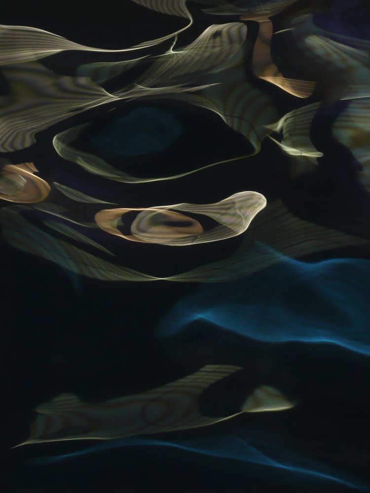 Fluid Light Waves