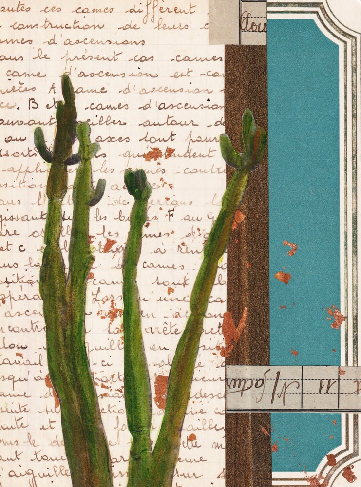 Green Cactus Collage