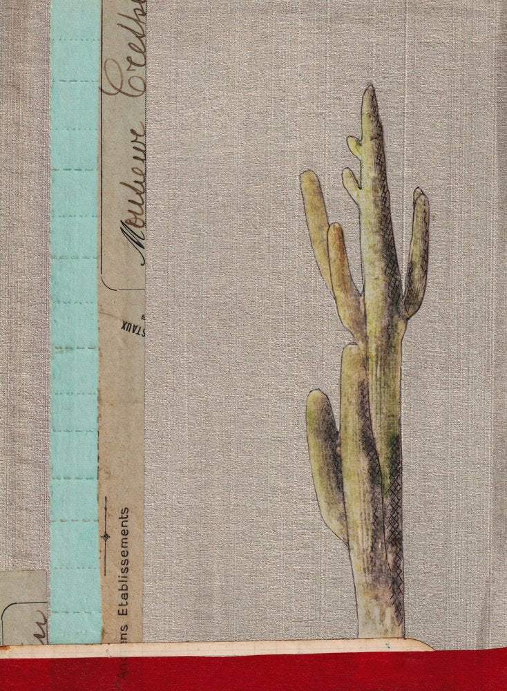 Desert Cactus Collage