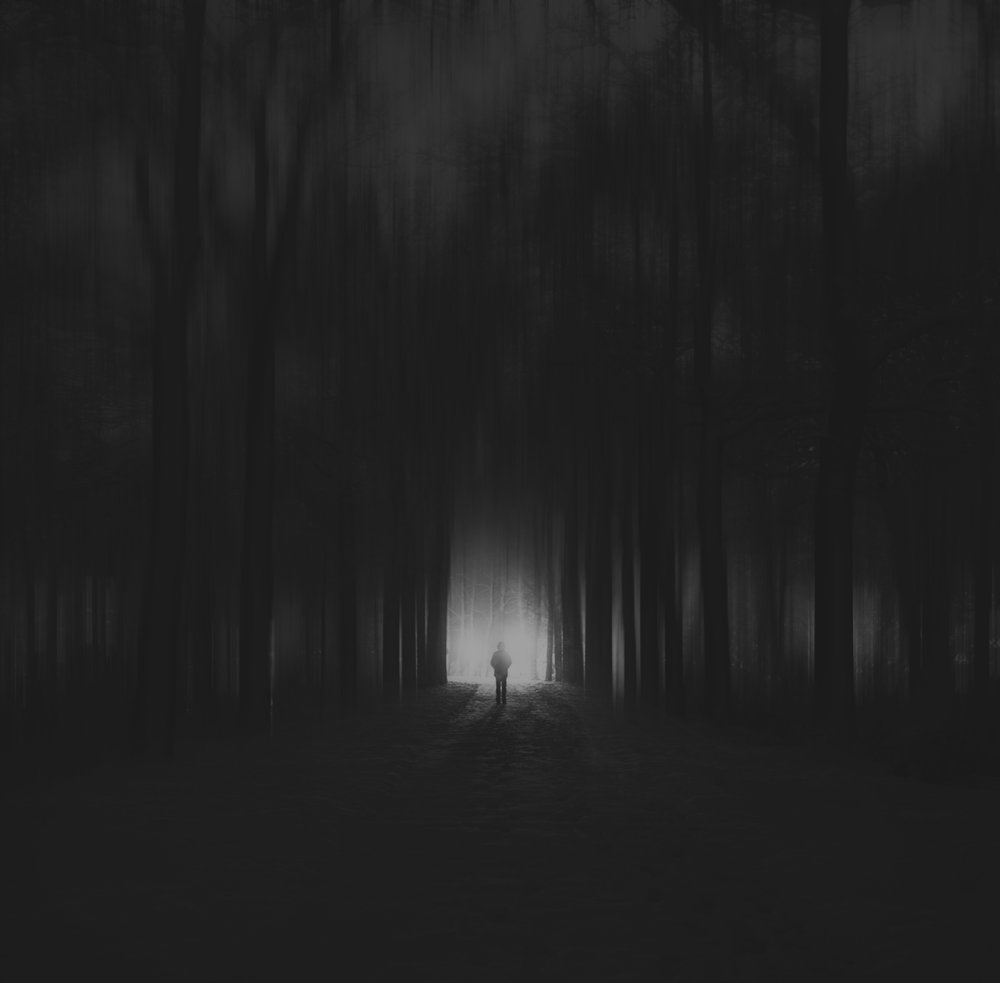 Mysterious Forest Light Path