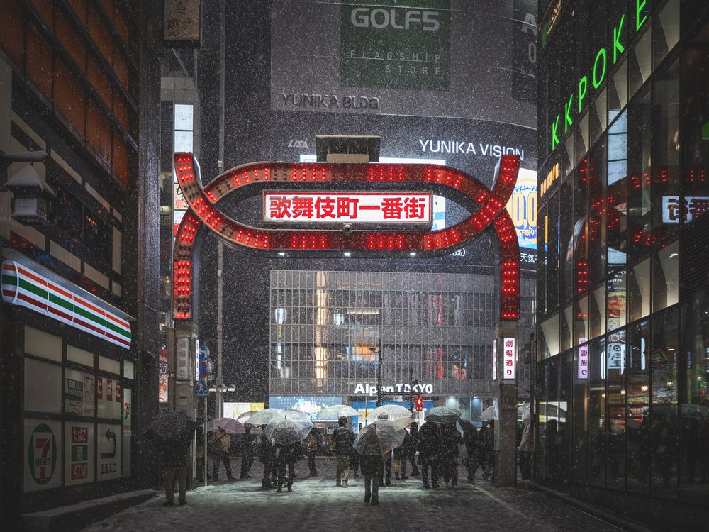Snowy Tokyo Street