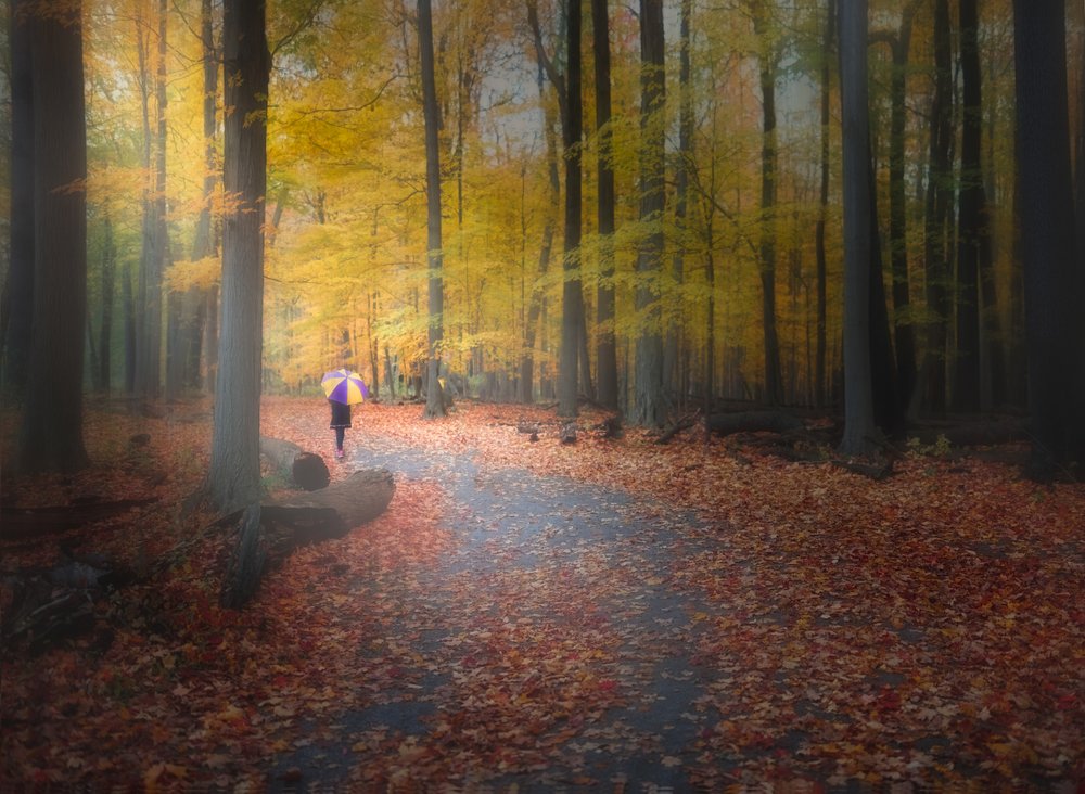 Dreamy Autumn Walk