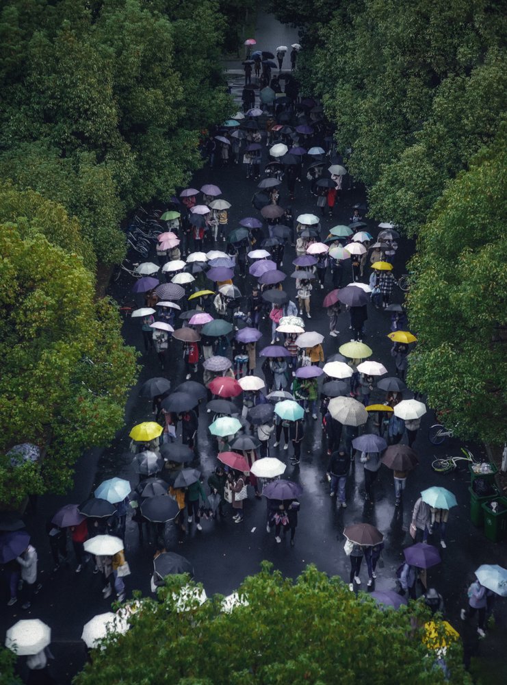 Crowd of Umbrellas