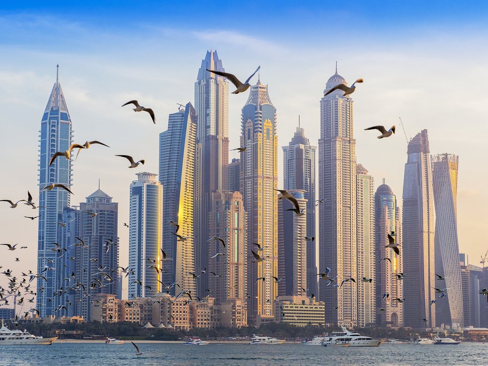 Dubai Marina Birds Flying