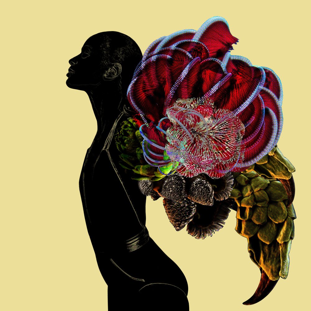 Vibrant Organic Figure