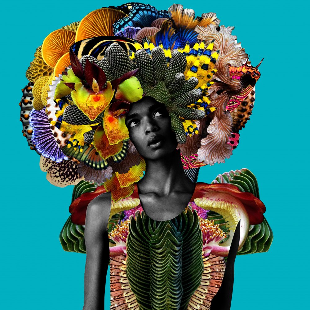 Vibrant Nature Queen