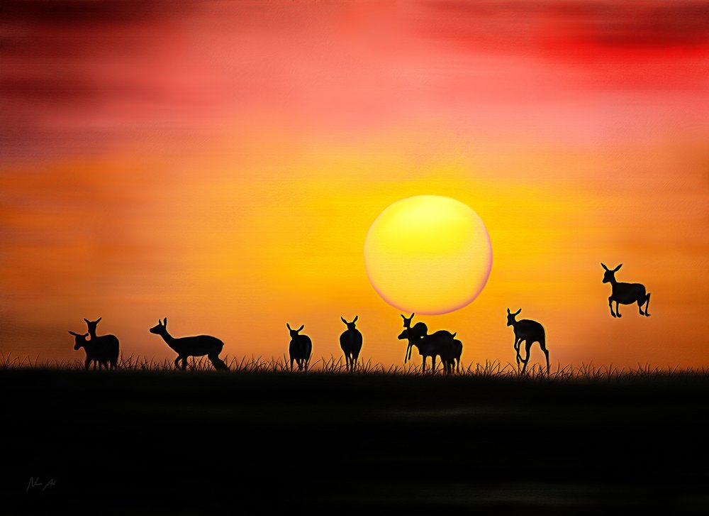 Deer At Sunset