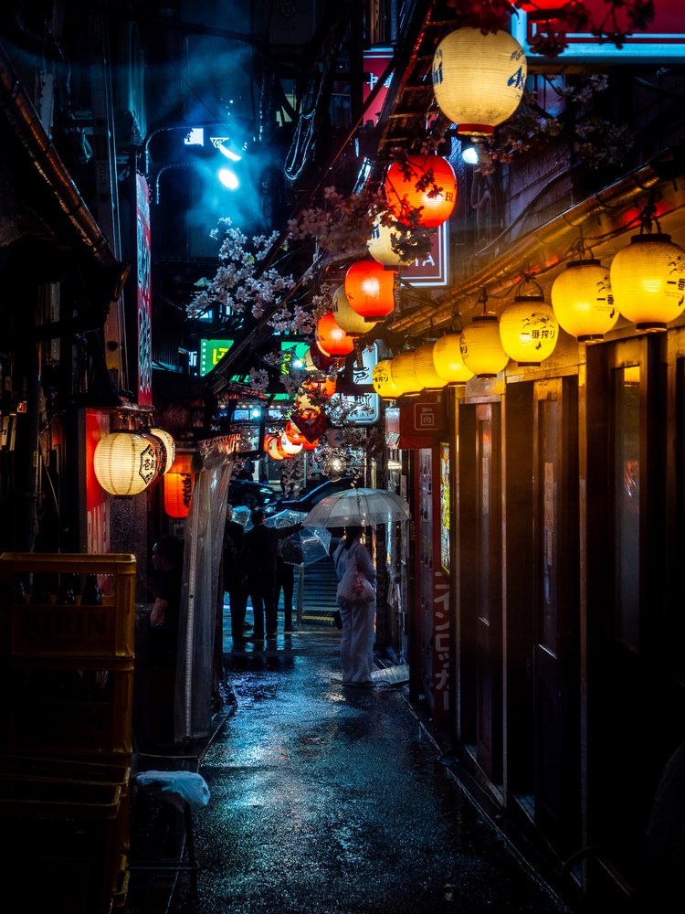 Japanese Night Alley