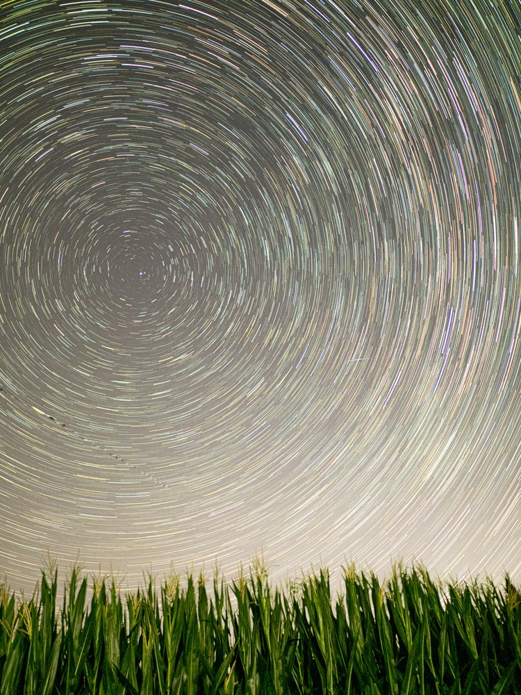 Star Trails Over Cornfield