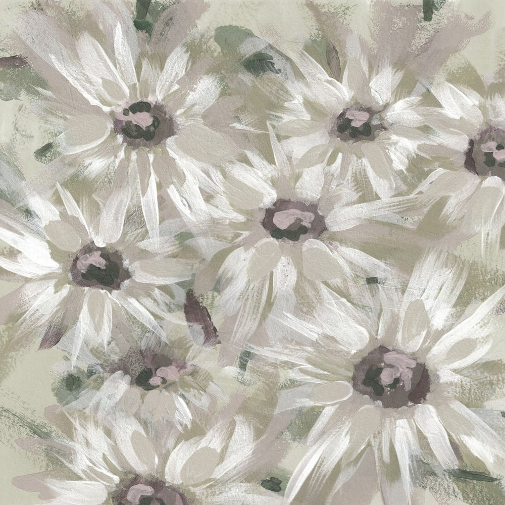 Soft Daisy Blooms
