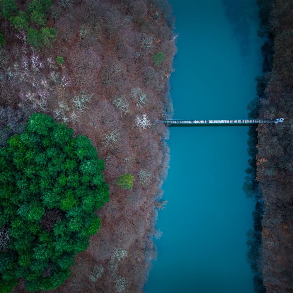 Emerald Forest River Bridge