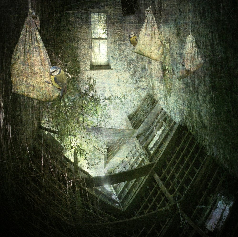 Overgrown Atrium Birds
