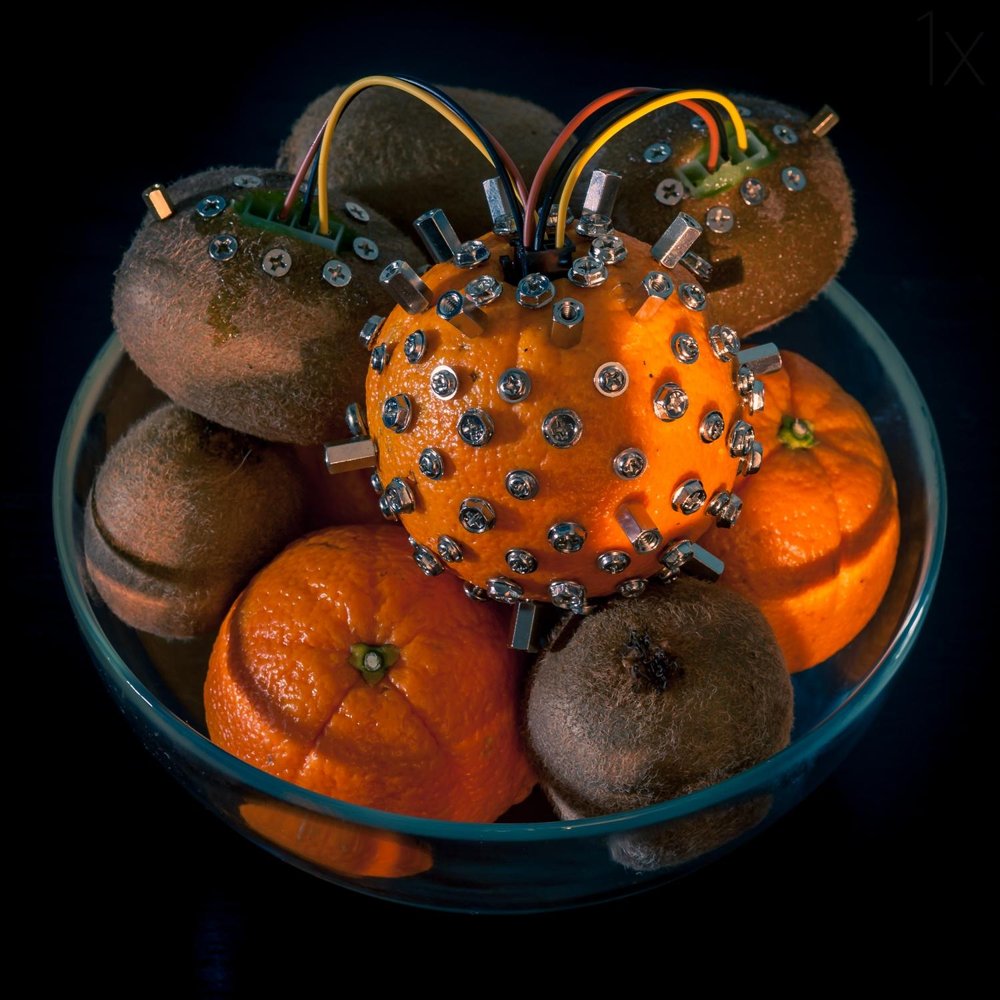 Wired Fruit Bowl