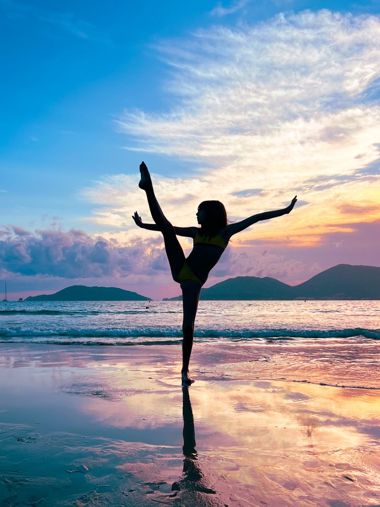 Graceful Sunset Silhouette