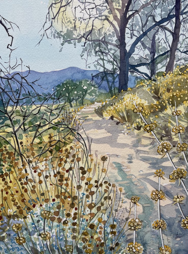 Tranquil Nature Trail