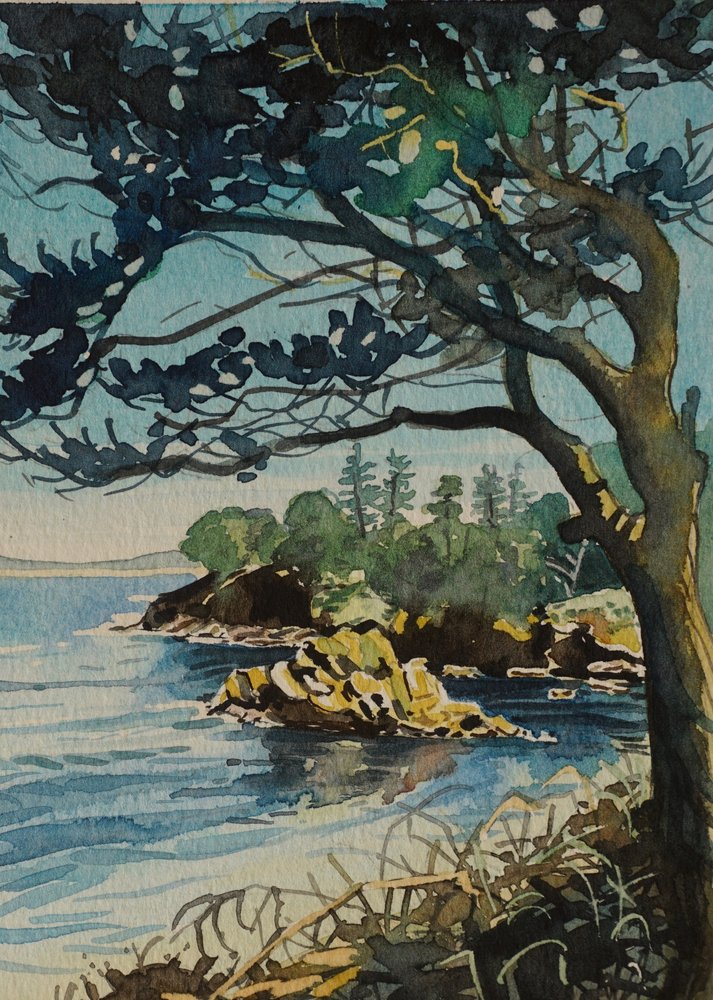 Coastal Pine Vista