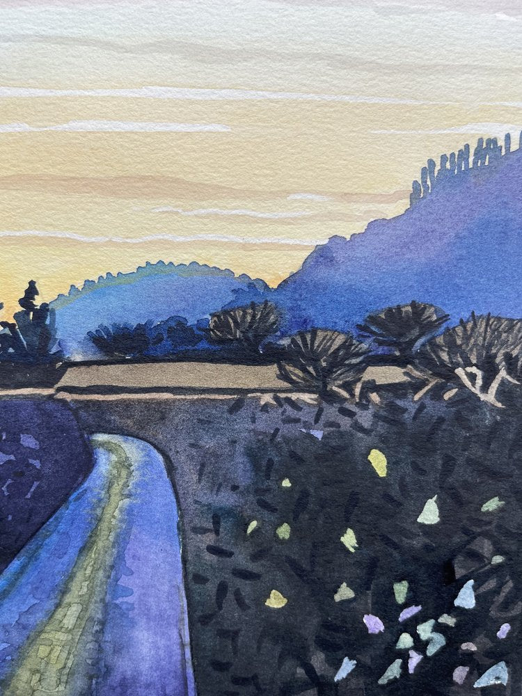 Winding Path at Dawn